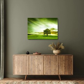 Obraz na szkle - Drzewo życia (70x50 cm)