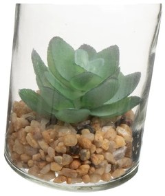 Sztuczne rośliny zestaw 4 szt. (wysokość 12 cm) Cactus – Casa Selección