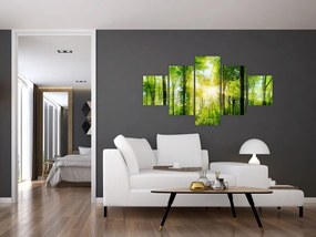 Obraz - Świt w lesie (125x70 cm)