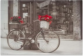 Obraz poinsecja, 40 x 60 cm