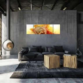 Obraz zwierząt afrykańskich (170x50 cm)