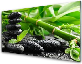 Szkło do Kuchni na Ścianę Zielona Świeżość Bambusa