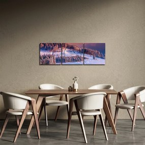 Obraz zimowego krajobrazu (z zegarem) (90x30 cm)