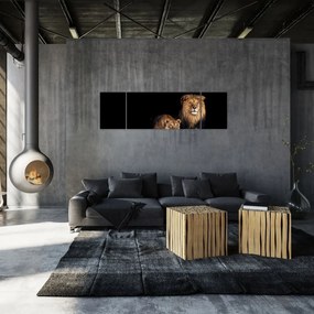 Obraz - Lew i lwica (170x50 cm)