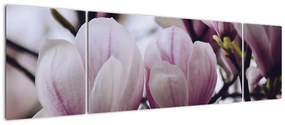 Obraz - Magnolia (170x50 cm)
