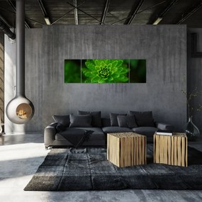 Obraz drzewa iglastego (170x50 cm)