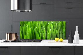 Panel Kuchenny Naturalne Źdźbła Trawy