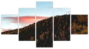 Obraz rudzików nad wzgórzem (125x70 cm)