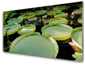 Panel Szklany Liście Jezioro Natura