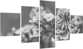 Obraz - Suszone kwiaty (125x70 cm)