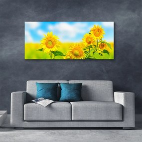 Obraz Canvas Słonecznik Kwiaty Natura