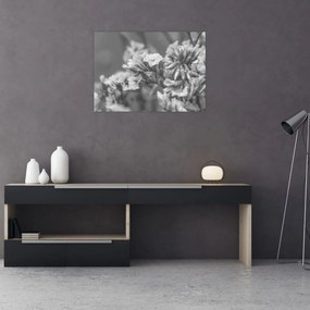 Obraz na szkle - Suszone kwiaty (70x50 cm)