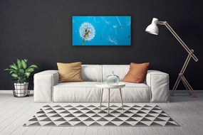 Obraz canvas na ścianę Ulotność Polnych Dmuchawców