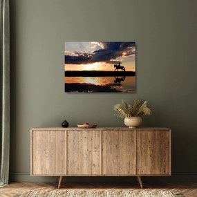 Obraz na szkle - Jeździec na koniu o zachodzie słońca (70x50 cm)