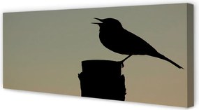 Obraz na płótnie Tajemniczy Czarny Ptak