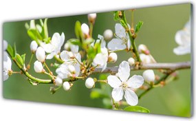 Panel nad blat kuchenny Kwitnący Sad Owocowy