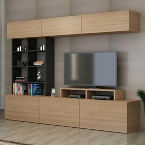 Ściana telewizyjna Teak and Black