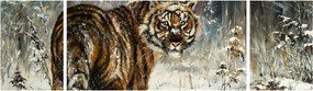 Obraz - Tygrys w zaśnieżonym lesie, obraz olejny (170x50 cm)