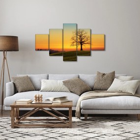 Obraz drzewa na polu (125x70 cm)