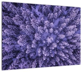 Obraz na szkle ośnieżonych drzew (70x50 cm)