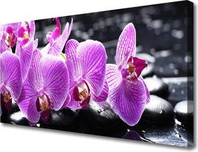 Fotoobraz na płótnie Subtelny Płatek Natury