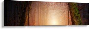 Obraz jesiennego lasu we mgle (170x50 cm)