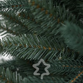 Świerk srebrny 150 cm