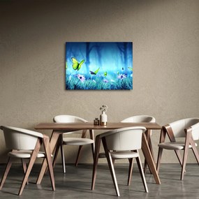 Obraz - Mistyczna leśna polana (70x50 cm)