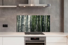 Panel szklany do Kuchni Białe Pnie Brzóz