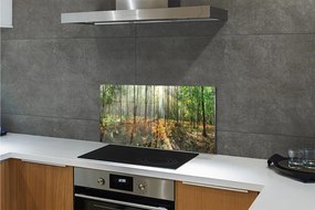 Panel szklany do Kuchni Klasyczny Las Brzozowy