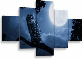 Obraz - Nocna Sowa (125x70 cm)