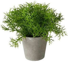 Sztuczna roślina w cementowej doniczce FERN, 17 cm
