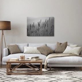 Obraz na szkle - źdźbła trawy (70x50 cm)