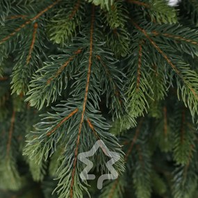 Świerk Natura 150 cm