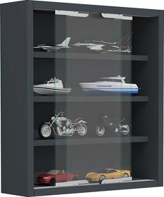 Wiszący wyświetlacz ścienny szafki szklanej Agisa S