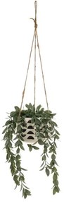 Sztuczna roślina (wysokość 28 cm) – Casa Selección