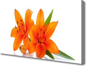 Zdjęcie na płótnie Letni Ogród Kwiatowy