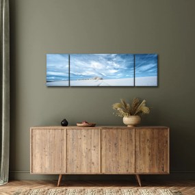 Obraz pola (170x50 cm)