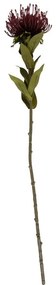 Sztuczny kwiat (wysokość 60 cm) Protea – PT LIVING