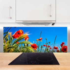 Szkło Dekoracyjne do Kuchni Polna Łąka Pełna Maków