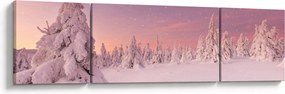 Obraz - Drzewa pod warstwą śniegu (170x50 cm)