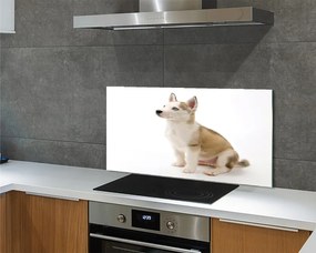 Panel szklany do Kuchni Mały Szczeniak w Pozycji Siedzącej