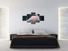 Obraz - Flaming (125x70 cm)