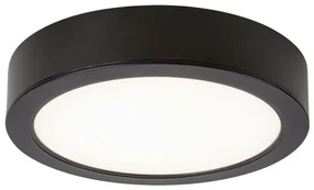 Rabalux 2688 - LED Plafon SHAUN LED/24W/230Vpr. 22 cm