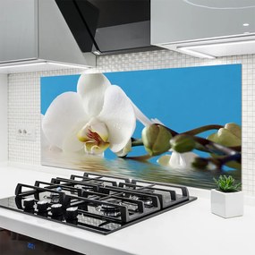 Szkło do Kuchni na Ścianę Botaniczny Portret Kwiatu