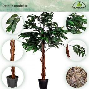 PLANTASIA Sztuczne drzewo mango 120 cm