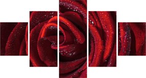 Obraz - Czerwona róża z kroplami rosy (125x70 cm)