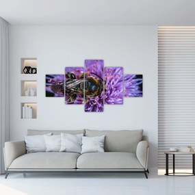 Obraz pszczoły na kwiatku (125x70 cm)