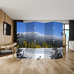 Parawan - Śnieżne góry zimą (210x170 cm)