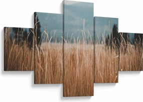Obraz - szczegół łąki (125x70 cm)